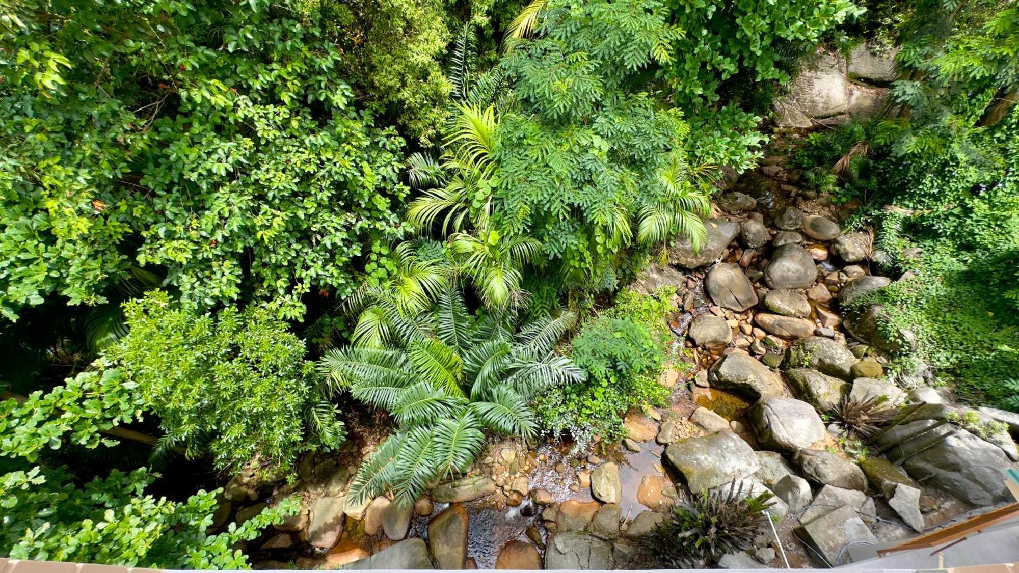 The Palm Seychelles Apartment Bel Ombre Exterior photo